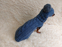 Dachshund costume winter warm sweater and hat with arans dachshundknit