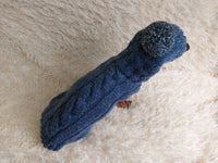 Dachshund costume winter warm sweater and hat with arans dachshundknit