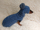 Dachshund costume winter warm sweater and hat with arans dachshundknit