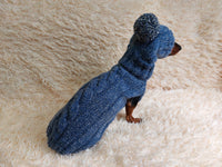 Dachshund costume winter warm sweater and hat with arans dachshundknit