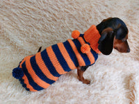 Bee jumper halloween for pets, bee hoodie for dogs, bee clothes for mini dachshund dachshundknit