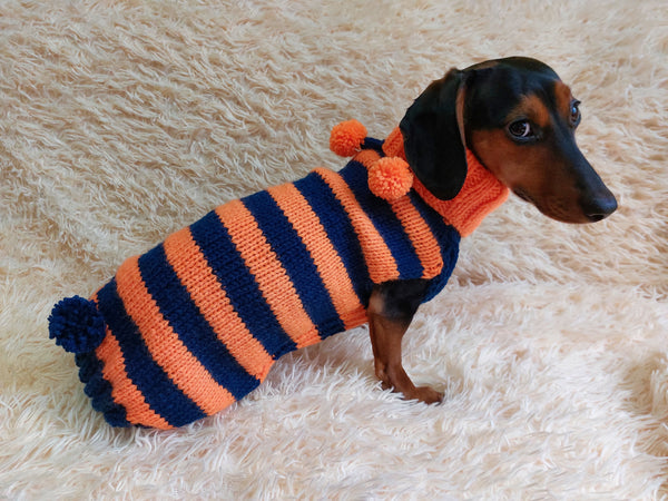 Bee jumper halloween for pets, bee hoodie for dogs, bee clothes for mini dachshund dachshundknit