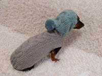 L Winter wool coat with hood for dachshund or small dog dachshundknit