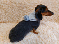 Hooded Dog pet Sweater, Sweater with hood for dachshund or small dog, sweatshirt knitted for dog dachshundknit