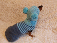 Striped warm wool set sweater and hat for pets, jumper and hat for dachshund or small dog dachshundknit