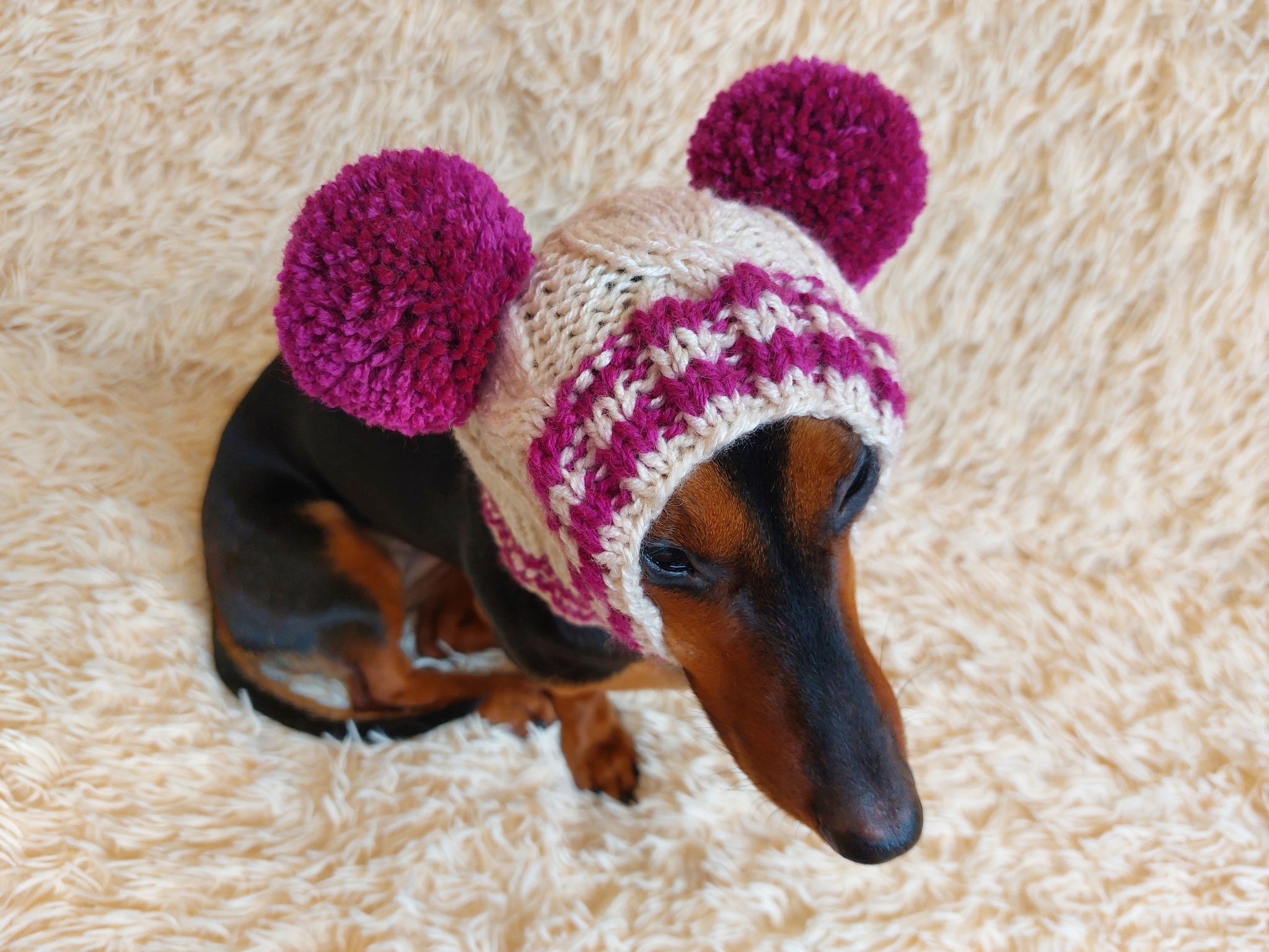 Hats with pom-poms hotsell for the hostess and the dachshund set