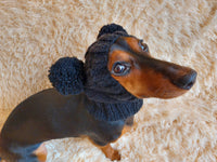 Winter hat for a dog with handmade pom-poms dachshundknit