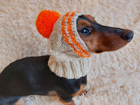 Winter hat for a dog with handmade pom-pon dachshundknit