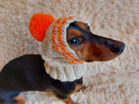 Winter hat for a dog with handmade pom-pon dachshundknit