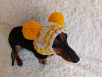 Winter hat for a dog with handmade pom-poms dachshundknit