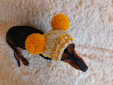 Winter hat for a dog with handmade pom-poms dachshundknit