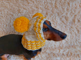 Winter hat for a dog with handmade pom-poms dachshundknit