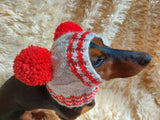 Christmas Clothes Pet Outfit Pom Pom Hat, Pet clothes winter warm wool snood hat for small dogs with pompom, pet gift, dog gift dachshundknit