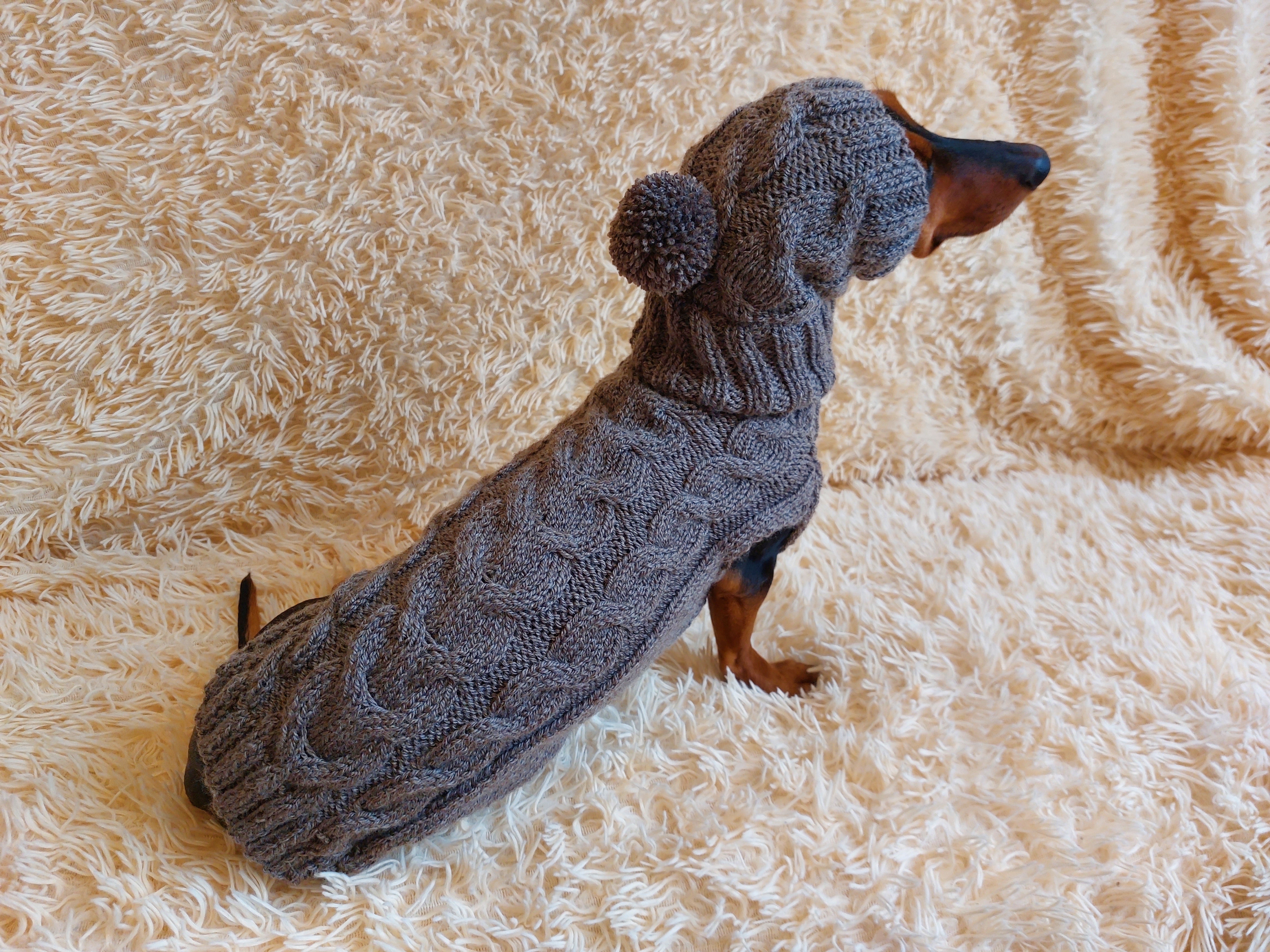 Dog costume sweater and hat, knitted dachshund clothes wool warm