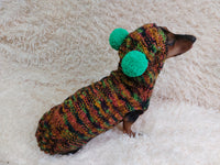 Warm bright outfit for pets hoodie with pompoms, dog dachshund bright hoodie with pompoms dachshundknit