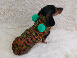 Warm bright outfit for pets hoodie with pompoms, dog dachshund bright hoodie with pompoms dachshundknit