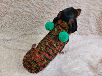 Warm bright outfit for pets hoodie with pompoms, dog dachshund bright hoodie with pompoms dachshundknit