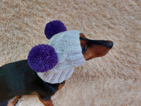 White Pet Hat With Colorful Pom Poms Dog Dachshund Warm Clothes Outfit Pom Pom Hat dachshundknit