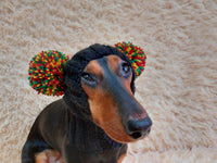 Warm hat for pets with pom-poms, Hat for mini dachshund with two pompons dachshundknit