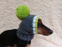 Monkey pet hat with big pompom, warm winter dog hat with pompom dachshundknit