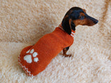 Sweater outfit wool winter for pets dog dachshund with paw dachshundknit