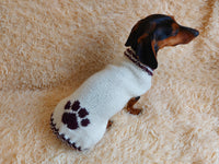 Sweater outfit wool winter for pets dog dachshund with paw dachshundknit