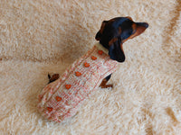 Outfit for pet warm jumper with wooden buttons hearts dachshundknit