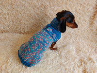 Dachshund Dog Pet Outfit Warm Rainbow Jumper With Flowers dachshundknit