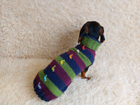 Dinosaur striped jumper with wooden buttons for pets dachshundknit