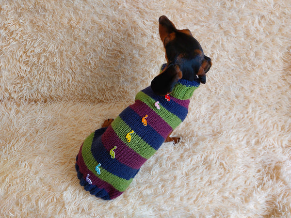 Dinosaur striped jumper with wooden buttons for pets dachshundknit