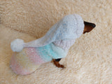 Rainbow Pet Suit Sequined Jumper and Hat dachshundknit