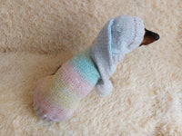 Rainbow Pet Suit Sequined Jumper and Hat dachshundknit