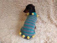 Christmas sweater with pom-poms for mini dachshund or small dog dachshundknit