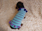 Christmas sweater with pom-poms for mini dachshund or small dog dachshundknit