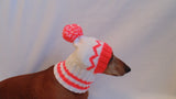 Warm hat for dog or cat, hat for a dog, hat for small dog, hat for dachshund, knitted hat, warm ears of dog