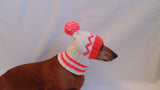 Warm hat for dog or cat, hat for a dog, hat for small dog, hat for dachshund, knitted hat, warm ears of dog