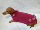 Christmas dachshund clothes pom-pom sweater dachshundknit