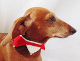 Christmas dog cat collar,Christmas dog colla - dachshundknit