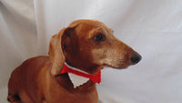 Christmas dog cat collar,Christmas dog colla - dachshundknit