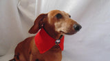 Christmas dog or cat collar - dachshundknit