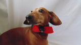 Christmas dog or cat collar - dachshundknit