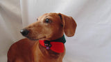 Christmas dog or cat collar - dachshundknit