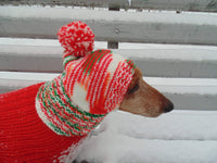Christmas knitted hat dog, dog hat, winter hat, dachshund hat - dachshundknit