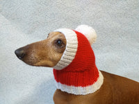 Christmas Santa hat dog dachshund dachshundknit