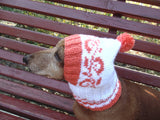 Clothes for dog orange knitted hat handmade with pompon - dachshundknit