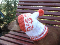 Clothes for dog orange knitted hat handmade with pompon - dachshundknit