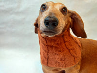 Dachshund or small dog scarf snood - dachshundknit