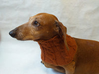 Dachshund or small dog scarf snood - dachshundknit
