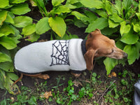 Halloween costume with spider for dachshund dog dachshundknit