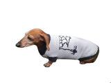 Halloween costume with spider for dachshund dog dachshundknit